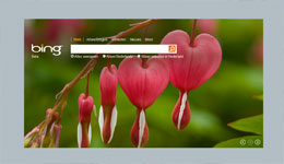 Website van de dag: Bing.com Bing.com screenshot